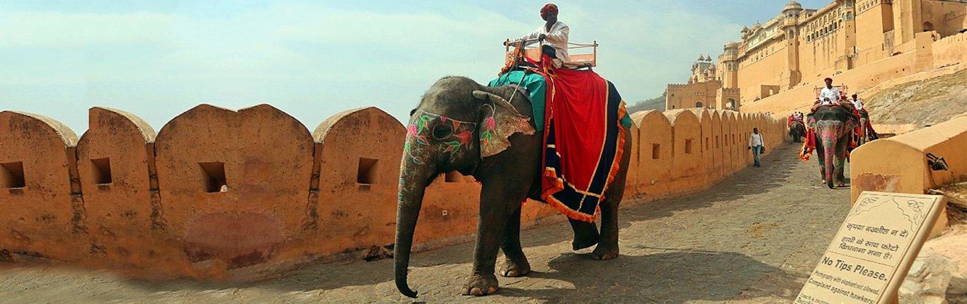 Decorated elephant carrying visitors up to Amber Fort